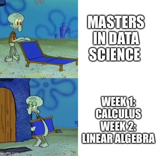 Meme highlighting the breadth of mathematical topics a data science professional should know
